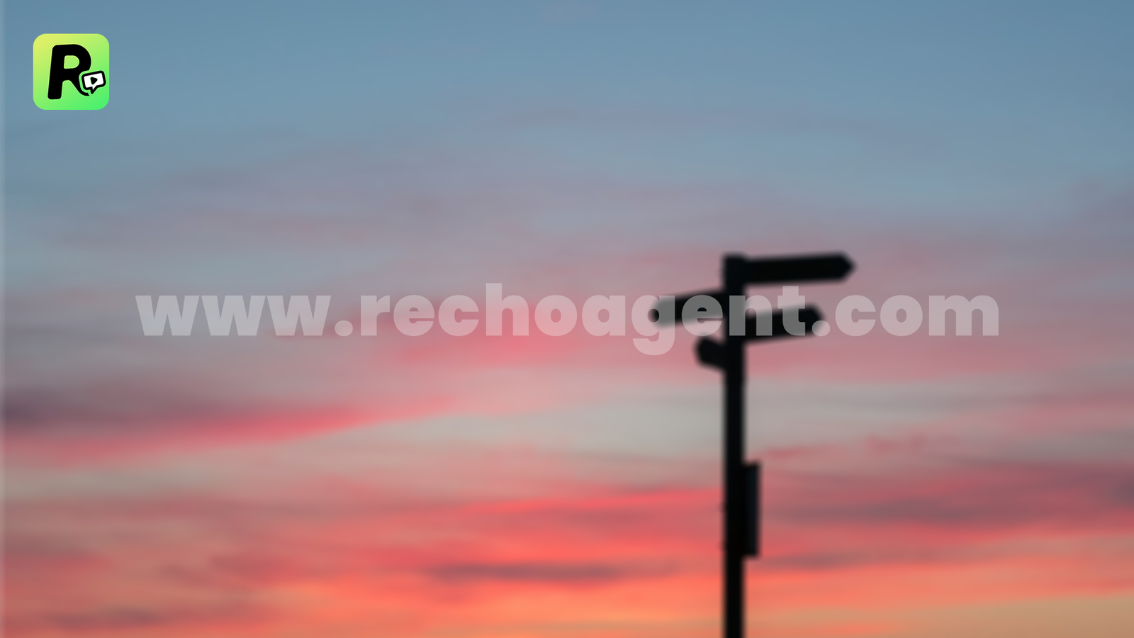 Valuable Decision Making Skills for Recho Live Agents